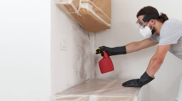 Professional Crawl Space Mold Remediation technician working in Carr, CO