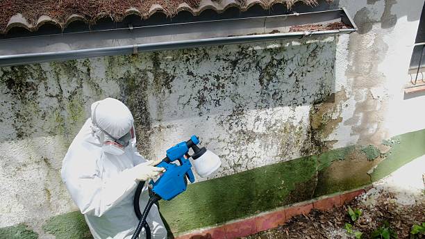 Top rated local Crawl Space Mold Remediation specialists in Carr, CO